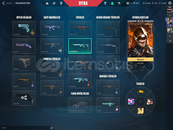 Standart Valorant Hesabı