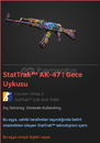 StatTrak™ AK-47 | Gece Uykusu Skin
