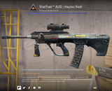 StatTrak™ AUG | Haylaz Kedi