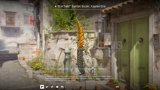 ★ StatTrak™ Flip Knife | Tiger Tooth ★ StatTrak™ Flip Knife | Tiger Tooth