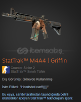 StatTrak™ M4A4 | Griffin