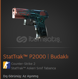 StatTrak™ P2000 | Gnarled(MW)