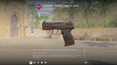 ✨StatTrak™ P2000 | Sağlam Tutuş✨
