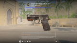 ✨StatTrak™ P250 | Re.built✨