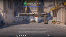 StatTrak™ USP-S | 027 (FT)