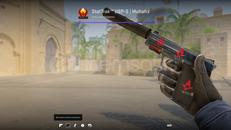 StatTrak™ USP-S | Guardian