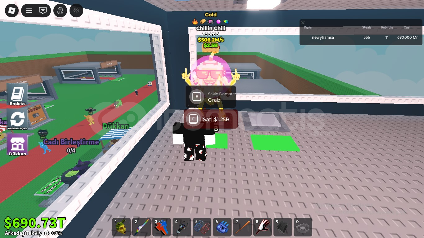 STEAL A BRAİNROT PET