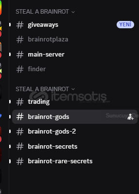 Steal A Brainrot Secret Pet Bulma Steal A Brainrot Secret Pet Bulma