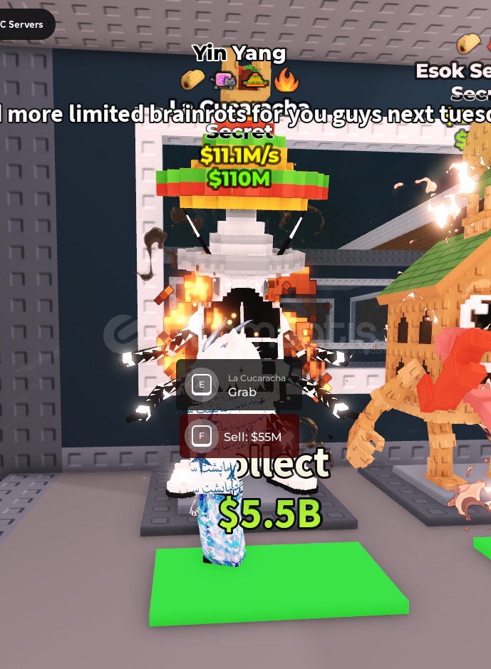steal a brinroat 3 pet toplam 24m  steal a brinroat 3 pet toplam 24m