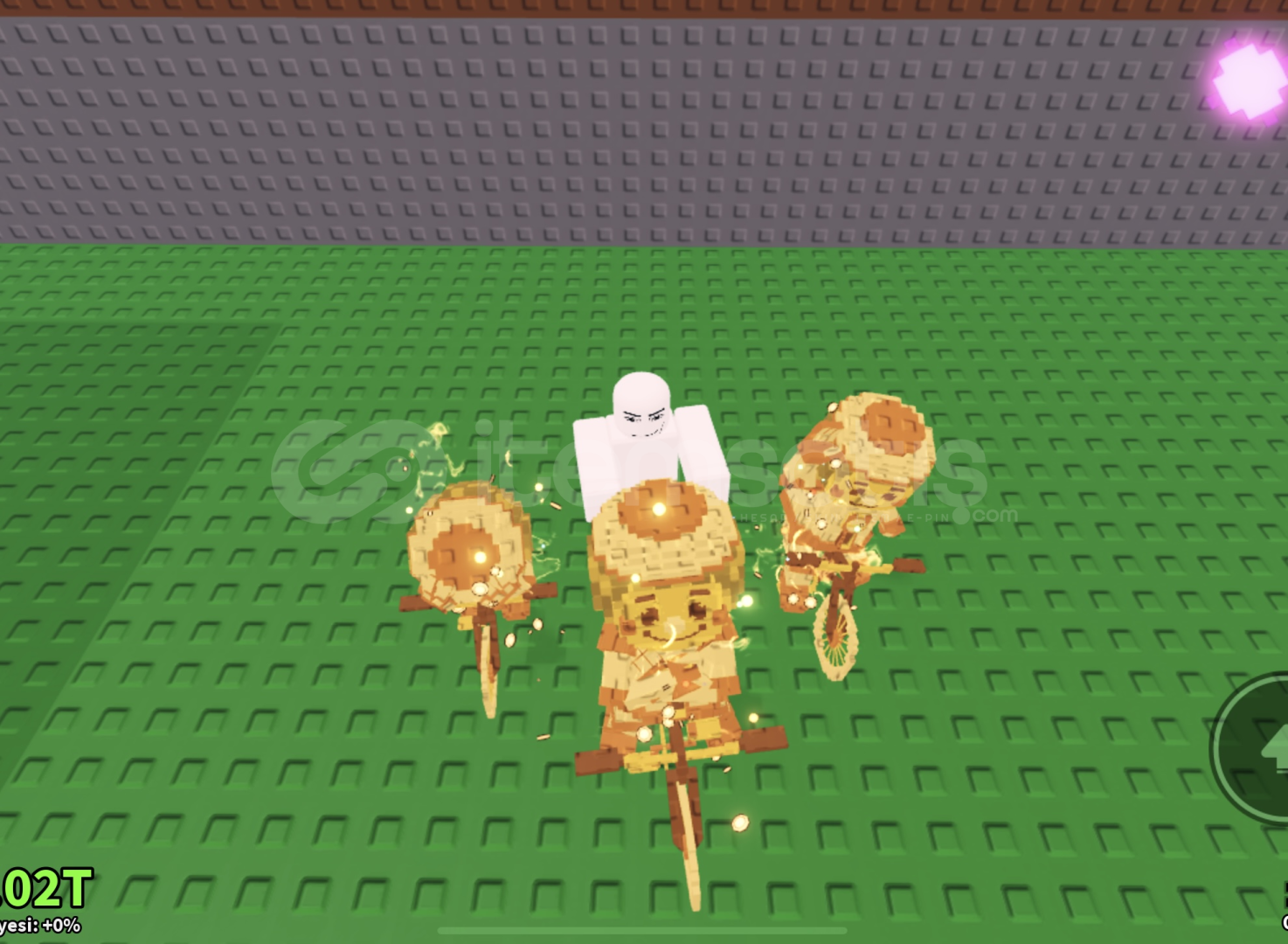 Steal brainrot  Steal brainrot