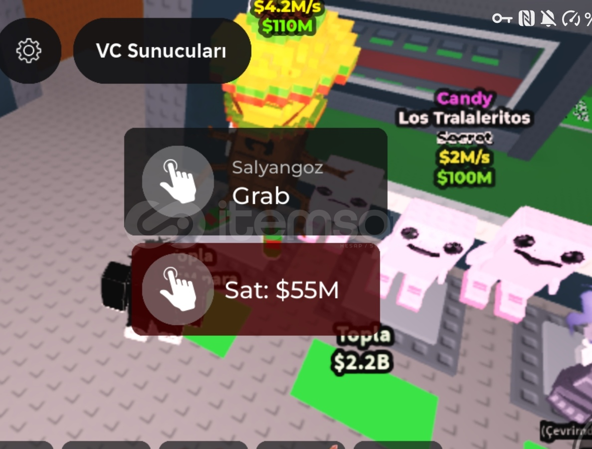Steal Broiont Pet 2x Steal Broiont Pet 2x