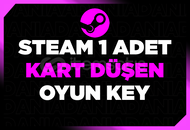 ☢️Steam 1 Adet Kart Düşen Oyun Key ☢️Steam 1 Adet Kart Düşen Oyun Key