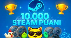 STEAM 10 K PUAN