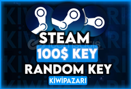 ⭐️Steam 100$ Random Key