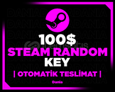 Steam 100$ Random Key