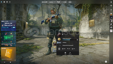 Steam 16LVL seçkin hesap