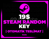 Steam 19$ Random Key
