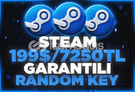 ⭐ STEAM 199$ STEAM KEY⭐