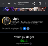 steam 2 bin tl ye hesap açıklamayı okuyun