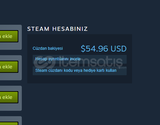 Steam 20$ Bakiye (Oyun)