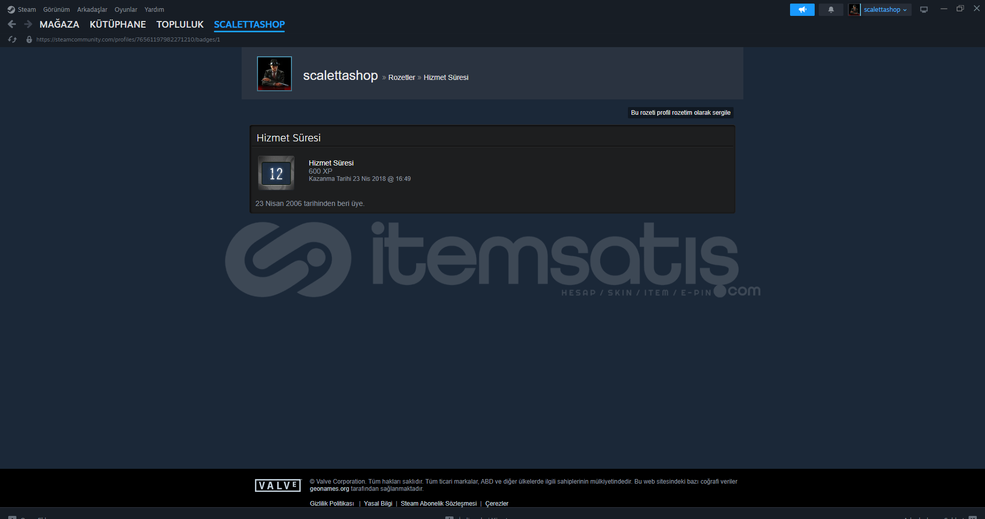 STEAM 20 YILLIK KOLEKSİYONLUK HESAP ! STEAM 20 YILLIK KOLEKSİYONLUK HESAP !