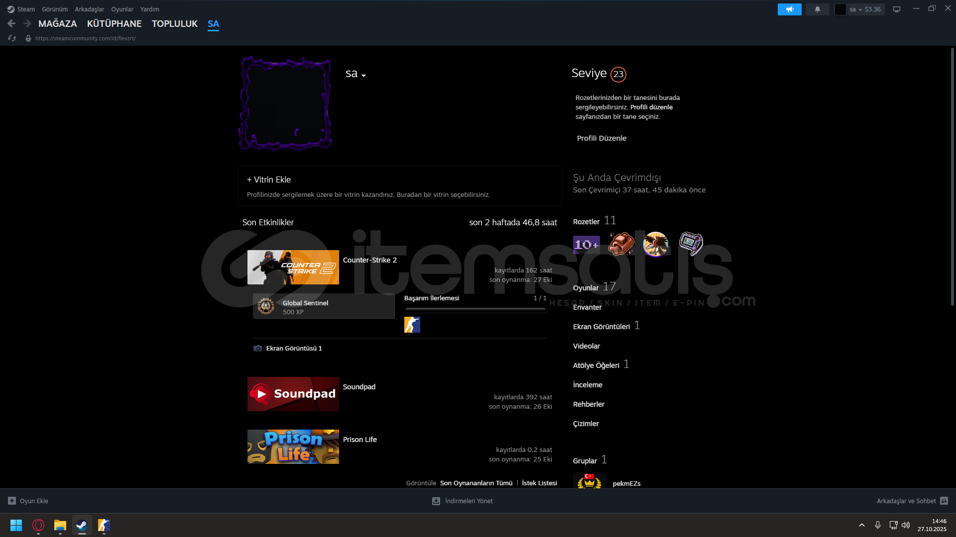 STEAM 23 LVL 16 POPULER OYUNLU HESAP STEAM 23 LVL 16 POPULER OYUNLU HESAP