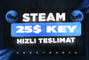 Steam 25$ Random Key