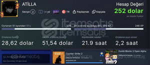 Steam 252$ hesabı assettco corsa 