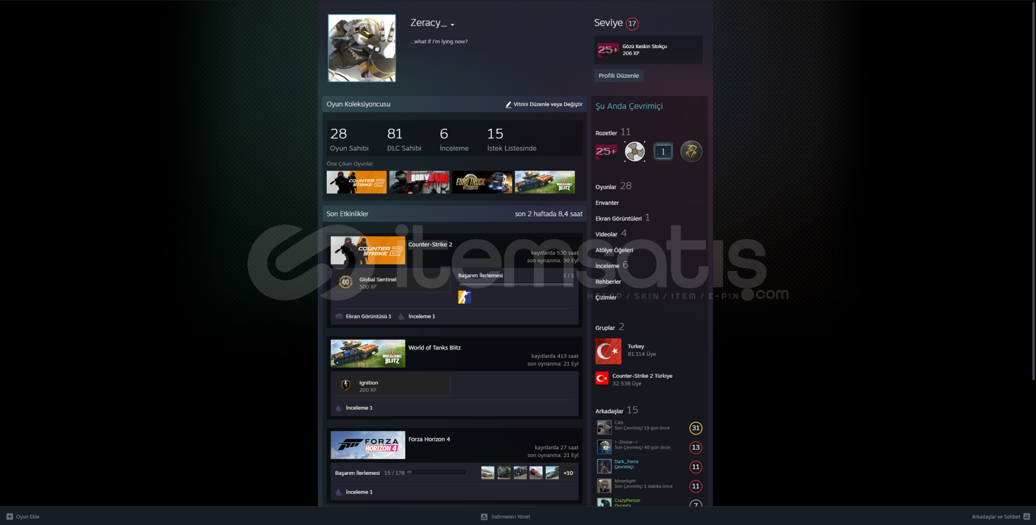 Steam 28 Oyun, CS2 Seçkin Hesap ACİL!! Steam 28 Oyun, CS2 Seçkin Hesap ACİL!!