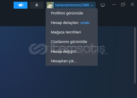 ✅STEAM 5 HANELİ USERNAME⭐2008 KURULUM ✅STEAM 5 HANELİ USERNAME⭐2008 KURULUM