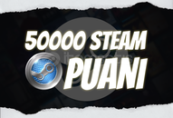 STEAM - 50.000 Steam Puanı