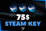 Steam 75-199$ Random Key