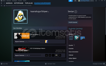 STEAM Age of History II Lİ HESAP 