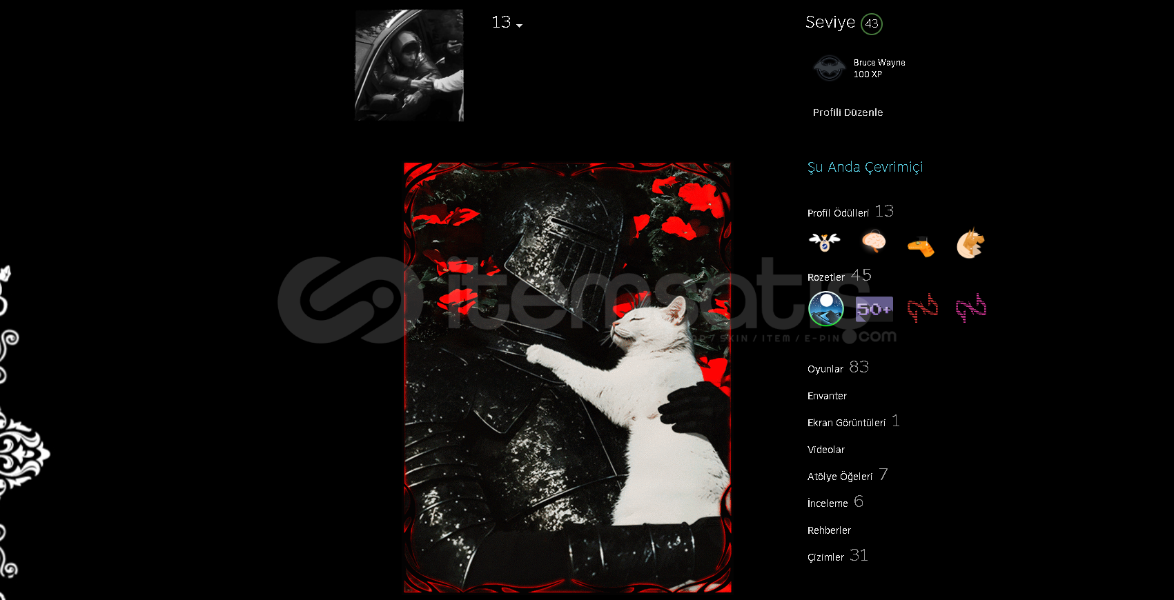 Steam Artwork Sövalye ve Kedi Steam Artwork Sövalye ve Kedi