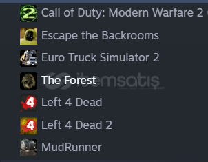 steam az oyunlu aile paylaşımlı hesap  steam az oyunlu aile paylaşımlı hesap