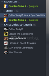 STEAM CS2 HESAP + COD BLACK OPS COLD WAR