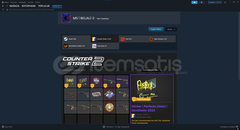 STEAM DOLU HESAP FİYATINA DEGER