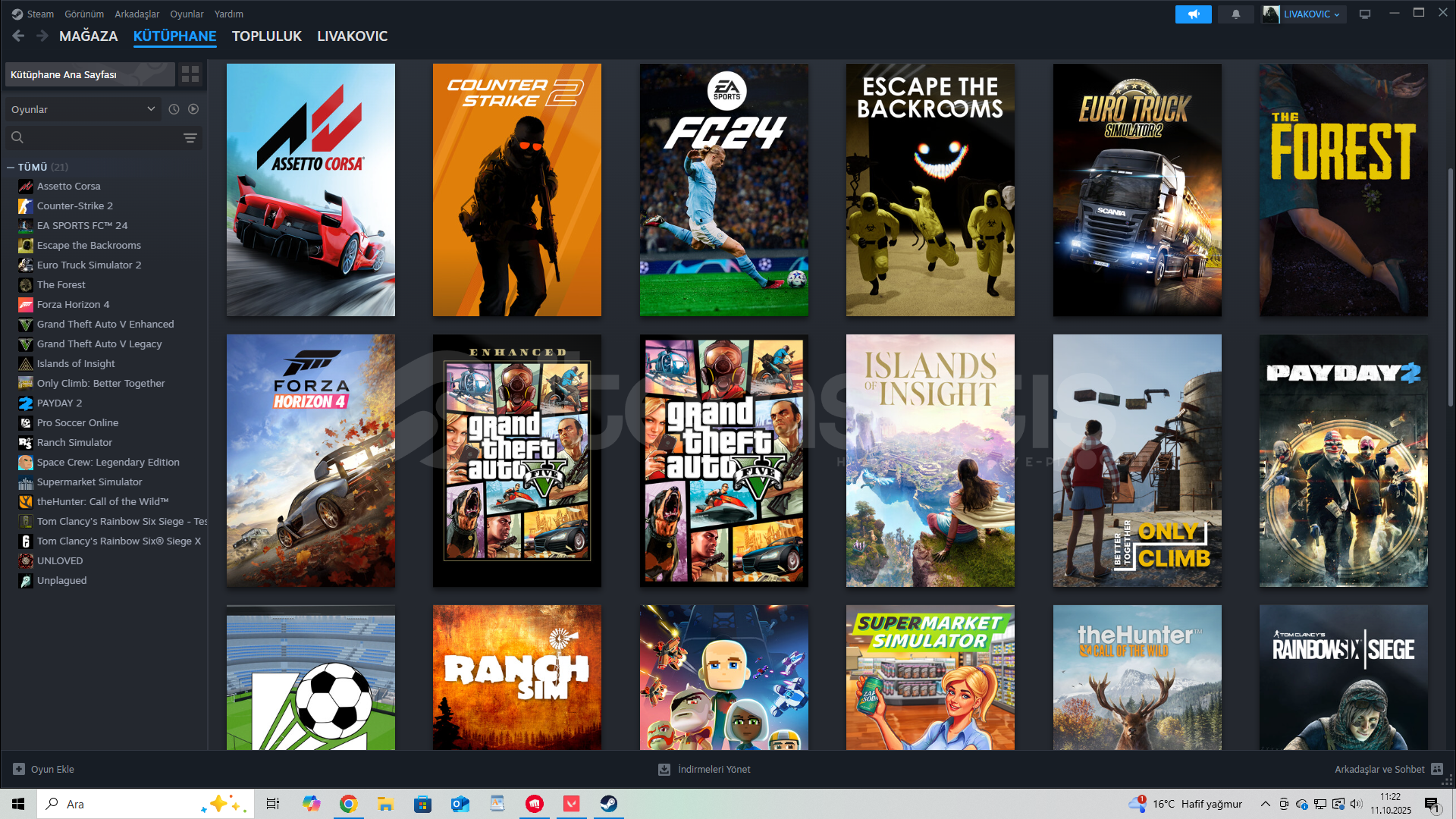 Steam dopdolu hesap gtav - ea24 ve dahası ucuza Steam dopdolu hesap gtav - ea24 ve dahası ucuza