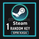 STEAM RANDOM KEY // EPİK KASA