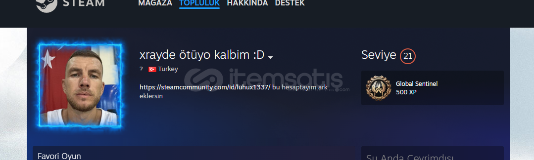 Steam Hesabı Uygun (ets2 ats ASSETTO CORSA)