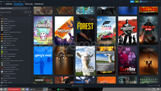 STEAM HESAP 340 OYUNLU 