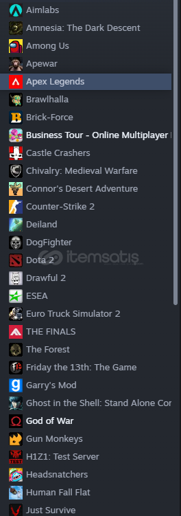 STEAM HESAP  STEAM HESAP