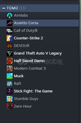 STEAM HESAP OYUNLU