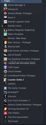 STEAM HESAP POPULER OYUNLARIN BULUNDUĞU