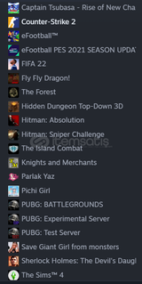 STEAM KİŞİSEL HESAP