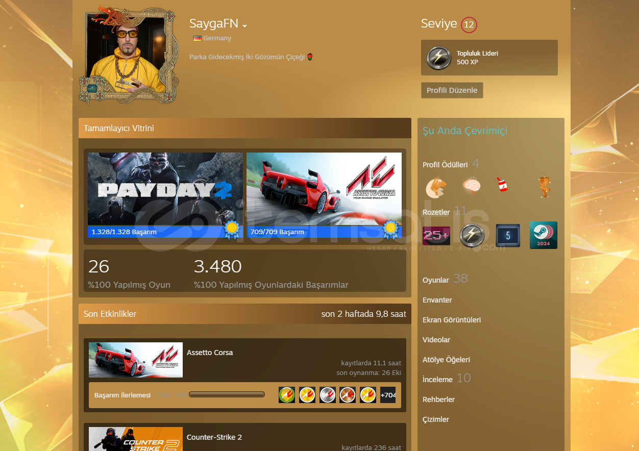 STEAM KİŞİSEL HESAP DOLU DOLU STEAM KİŞİSEL HESAP DOLU DOLU