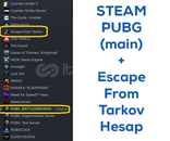 Steam PUBG + Escape From Tarkov EFT