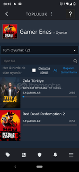 STEAM RDR2 HESABI KİŞİSEL