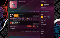 steam Rust +2000 saat + 53 TWITCH DROPS 