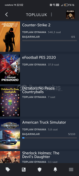 Steam Ucuza Müthiş Hesap